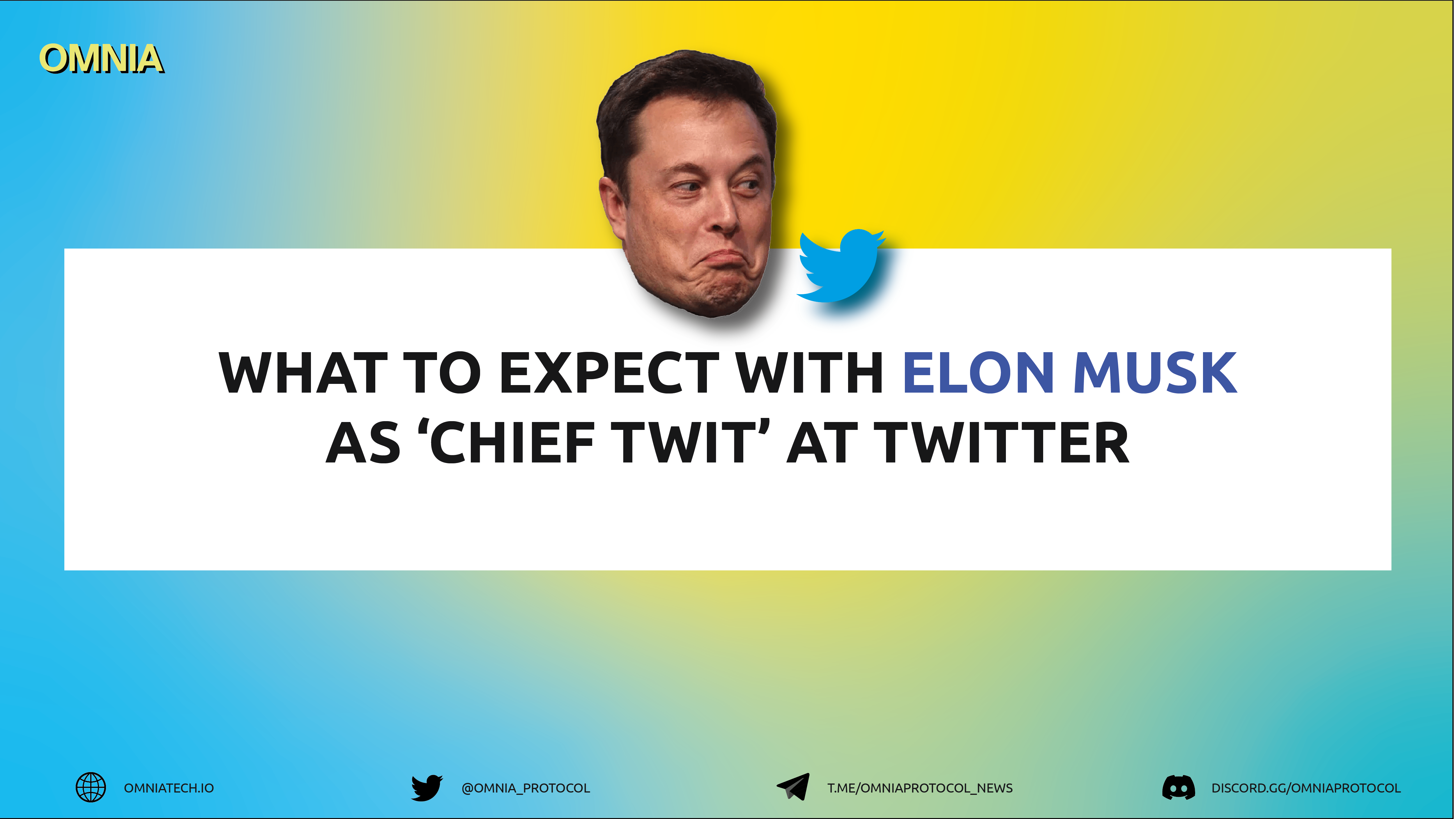 What to Expect With Elon Musk as ‘Chief Twit’ at Twitter