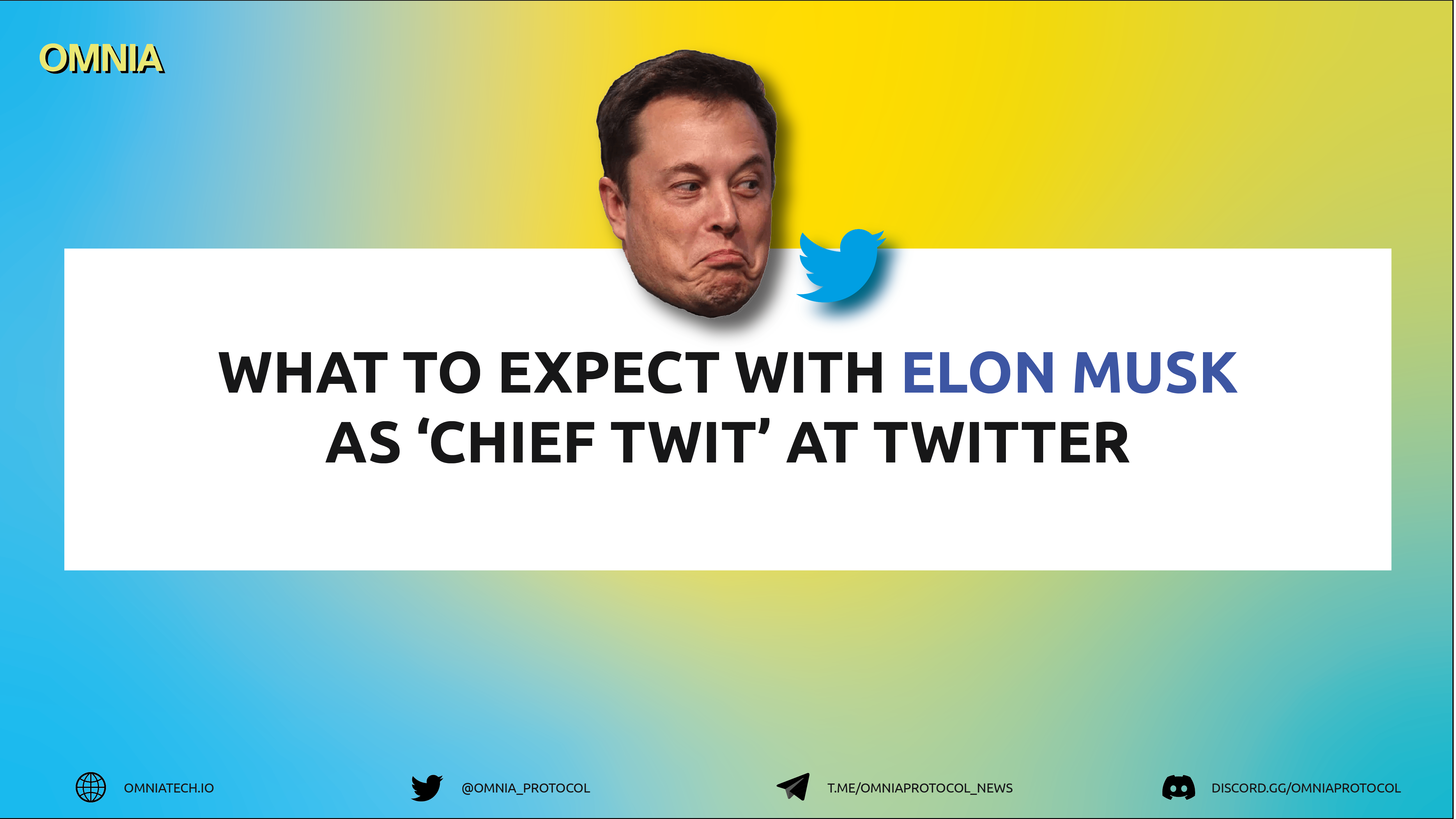 What to Expect With Elon Musk as ‘Chief Twit’ at Twitter