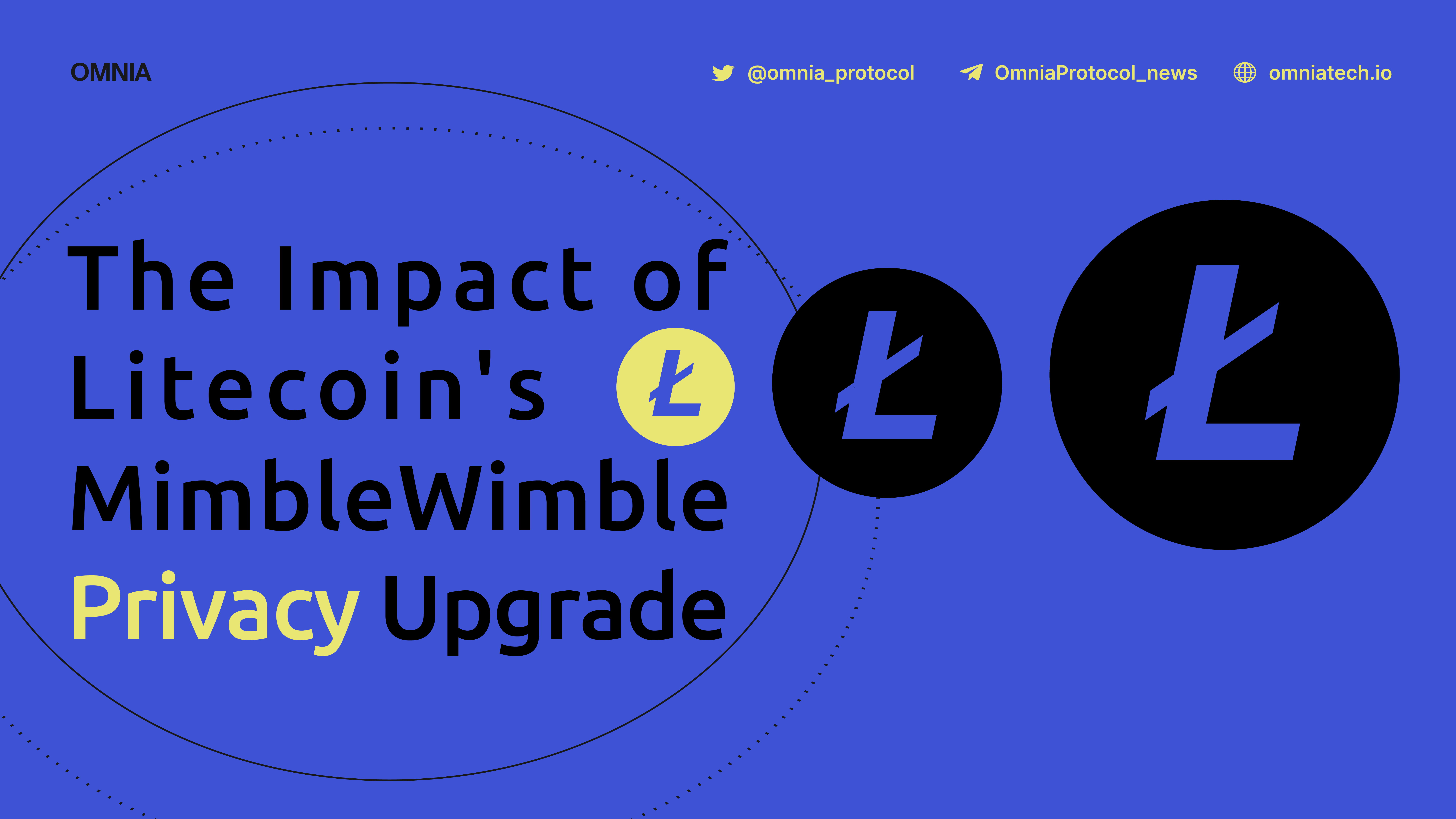 The Impact of Litecoin’s MimbleWimble Privacy Upgrade